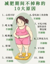 -Fundi张玉珊修身堂·indiba·BTL科技瘦身