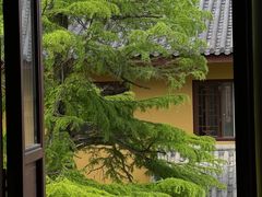 -东明山森林公园