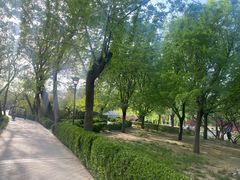 -元大都城垣遗址公园