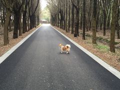 -同里国家湿地公园