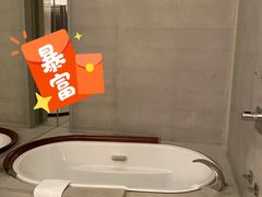 -上海柏悦酒店
