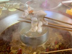 蛙脆脆-蛙宴·美蛙火锅基地(万象城店)