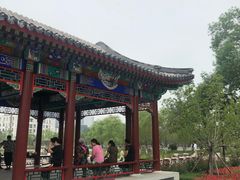 -西海子公园