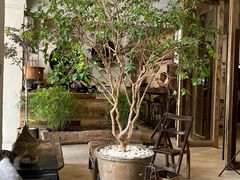 -成川茶店·潮汕工夫浓茶(万象店)