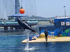 -秦皇岛乐岛海洋王国