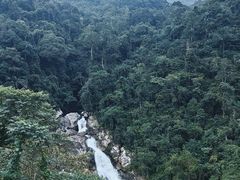 -海南热带雨林国家公园吊罗山景区