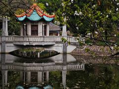 -叶家花园