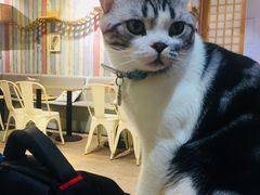 -小时光咖啡馆(开森度假森林店)