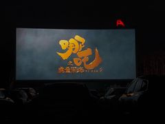 -枫花园汽车电影院(朝阳公园店)