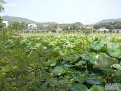 -韶山毛泽东同志故居