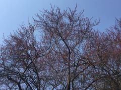 -大雁塔北广场音乐喷泉