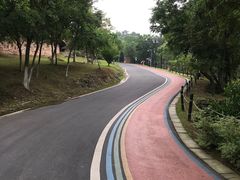 -南京市无想山景区