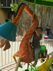 点击看大图 -宝燕乐园(闵行旗舰店)