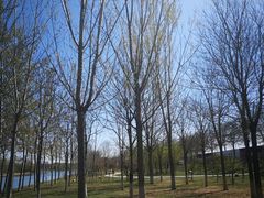 -北运河水利风景区