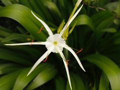 -水月周庄铂尔曼酒店-水月荟中餐厅