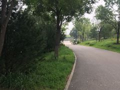 -东郊湿地公园
