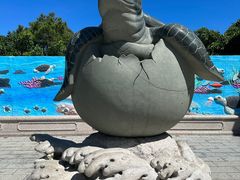 -广东惠东海龟国家级自然保护区