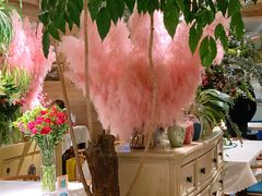 -春暖花开(西溪店)