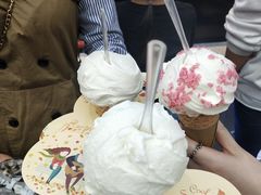 -野人先生现做冰淇淋(西安赛格店)