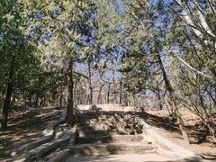 -北京鹫峰国家森林公园