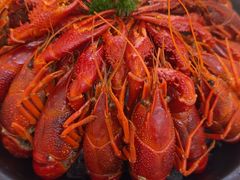 -徐嘉赫龙虾馆