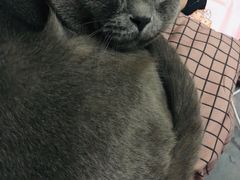 -佳怡动物医院·平价24小时·猫专科骨外科