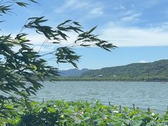 -湖畔居茶楼(湖滨店)