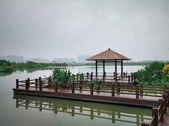 -三垟湿地
