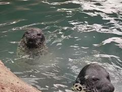 -北戴河圣蓝海洋公园