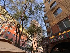 -流浪者复古西餐鸡尾酒吧(沈阳店)