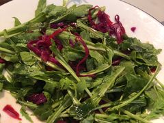 -伊斯坦布尔土耳其清真咖啡餐厅