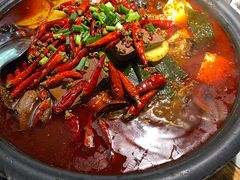 -探鱼·鲜青椒爽麻烤鱼(番禺万达店)