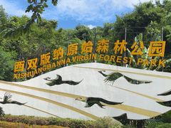 -西双版纳原始森林公园