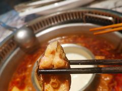-鱼豆吉·豆浆鱼火锅(宜昌万达店)