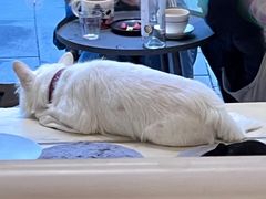 -悟白咖啡WoobyCafe