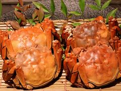 -上井料理黑金店(IFS国金中心店)
