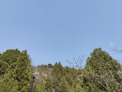 -府君山公园