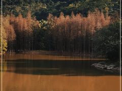 -滴水岩森林公园