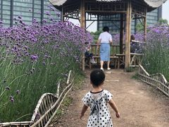 -杭州城北体育公园