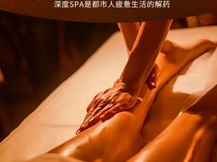 -郑州美盛喜来登大酒店