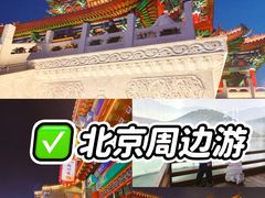 -0317火锅鸡·清真(正达店)