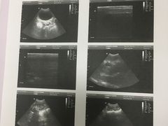 -中农大我爱我爱24h动物医院·中医针灸·猫专科·骨科医疗中心(双井店)