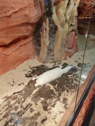 -Zoolung Zoolung动物主题公园(海信广场店)