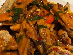 -柴窝堡22号辣子鸡·传承新疆菜