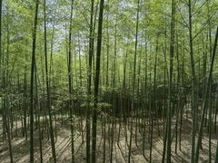 -陶祖圣境风景区