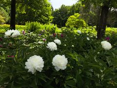 -国家植物园南园