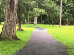 -南宁良凤江国家森林公园