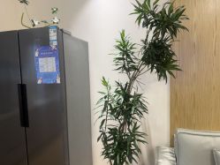 点击看大图 -艾薇朵朵全套房月子中心(江宁店)