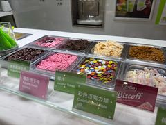 -Salud撒露欧洲冻酸奶(北苑上品店)