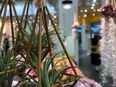 -KKV(深圳kk one 店)